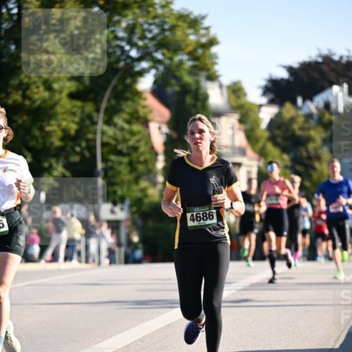 01.09.2024 - BARMER Alsterlauf Dr. Thomas Lammeyer http://msf.ph/oto/6894166 01.09.2024 09:29:42 Laufen 5, 4686 meine-sportfotos.de