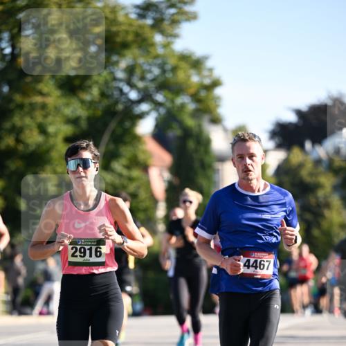 01.09.2024 - BARMER Alsterlauf Dr. Thomas Lammeyer http://msf.ph/oto/6894182 01.09.2024 09:29:46 Laufen 35, 2916, 135, 4467 meine-sportfotos.de
