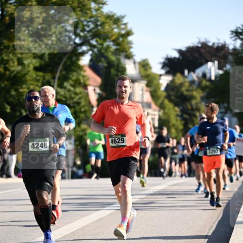 01.09.2024 - BARMER Alsterlauf Dr. Thomas Lammeyer http://msf.ph/oto/6894262 01.09.2024 09:29:58 Laufen 4246, 4629, 2297 meine-sportfotos.de