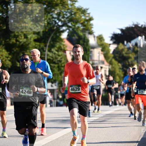 01.09.2024 - BARMER Alsterlauf Dr. Thomas Lammeyer http://msf.ph/oto/6894264 01.09.2024 09:29:58 Laufen 4246, 4629, 2297 meine-sportfotos.de