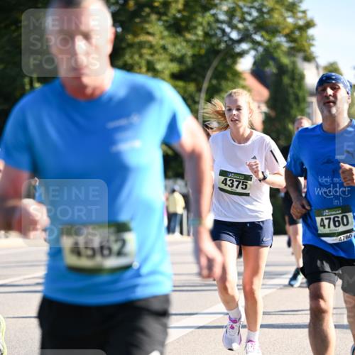 01.09.2024 - BARMER Alsterlauf Dr. Thomas Lammeyer http://msf.ph/oto/6894296 01.09.2024 09:30:04 Laufen 4562, 4375, 4760, 4760 meine-sportfotos.de