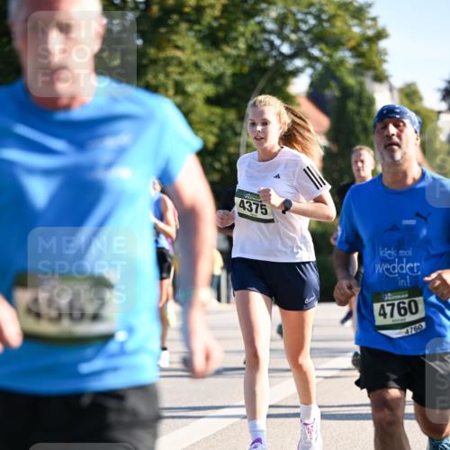 01.09.2024 - BARMER Alsterlauf Dr. Thomas Lammeyer http://msf.ph/oto/6894298 01.09.2024 09:30:04 Laufen 4562, 4375, 4760, 4760 meine-sportfotos.de