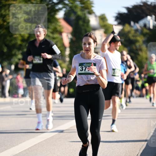 01.09.2024 - BARMER Alsterlauf Dr. Thomas Lammeyer http://msf.ph/oto/6894437 01.09.2024 09:30:27 Laufen 35, 37 meine-sportfotos.de