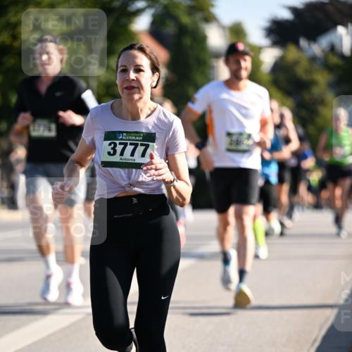 01.09.2024 - BARMER Alsterlauf Dr. Thomas Lammeyer http://msf.ph/oto/6894444 01.09.2024 09:30:27 Laufen 35, 3777 meine-sportfotos.de