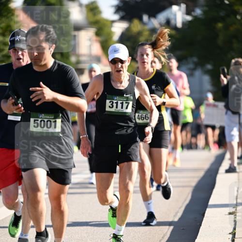 01.09.2024 - BARMER Alsterlauf Dr. Thomas Lammeyer http://msf.ph/oto/6894584 01.09.2024 09:30:48 Laufen 5001, 35, 3117, 466 meine-sportfotos.de