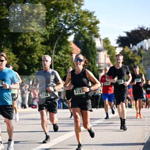 01.09.2024 - BARMER Alsterlauf Dr. Thomas Lammeyer http://msf.ph/oto/6894687 01.09.2024 09:31:06 Laufen 74, 2742, 318, 4303 meine-sportfotos.de