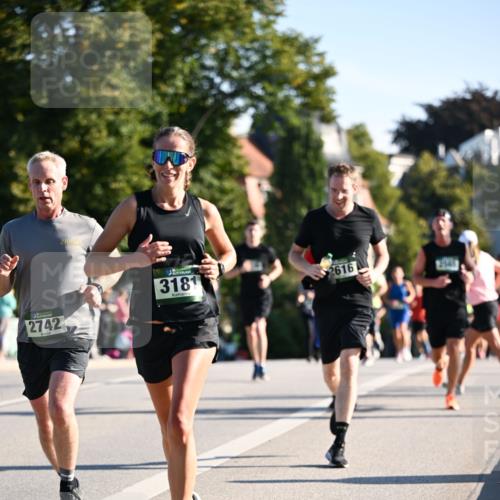 01.09.2024 - BARMER Alsterlauf Dr. Thomas Lammeyer http://msf.ph/oto/6894693 01.09.2024 09:31:07 Laufen 2742, 3181, 2616, 2541 meine-sportfotos.de