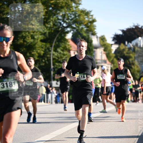 01.09.2024 - BARMER Alsterlauf Dr. Thomas Lammeyer http://msf.ph/oto/6894698 01.09.2024 09:31:08 Laufen 3181, 616, 3471, 2565 meine-sportfotos.de