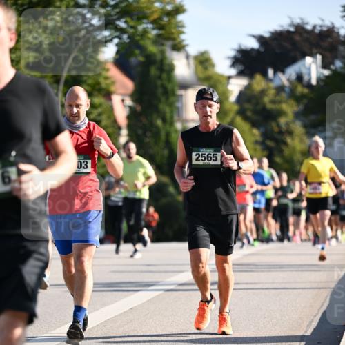 01.09.2024 - BARMER Alsterlauf Dr. Thomas Lammeyer http://msf.ph/oto/6894708 01.09.2024 09:31:09 Laufen 6, 03, 2565 meine-sportfotos.de