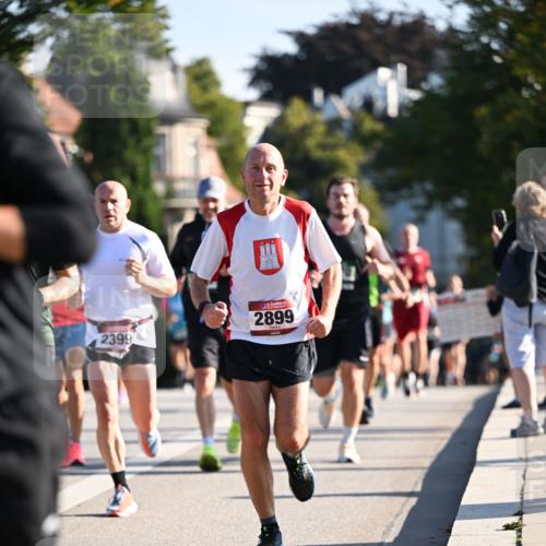 01.09.2024 - BARMER Alsterlauf Dr. Thomas Lammeyer http://msf.ph/oto/6894920 01.09.2024 09:31:43 Laufen 2399, 2899 meine-sportfotos.de