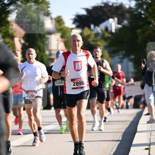 01.09.2024 - BARMER Alsterlauf Dr. Thomas Lammeyer http://msf.ph/oto/6894922 01.09.2024 09:31:43 Laufen 2399, 1369, 2899 meine-sportfotos.de