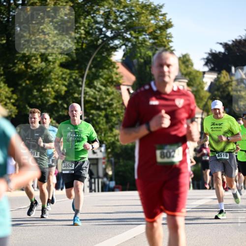 01.09.2024 - BARMER Alsterlauf Dr. Thomas Lammeyer http://msf.ph/oto/6894970 01.09.2024 09:31:51 Laufen 011, 3852, 3852, 802, 4519 meine-sportfotos.de
