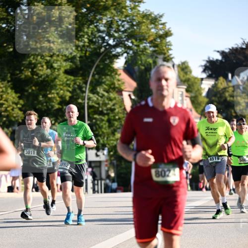 01.09.2024 - BARMER Alsterlauf Dr. Thomas Lammeyer http://msf.ph/oto/6894971 01.09.2024 09:31:51 Laufen 3011, 3852, 3852, 8024, 7001, 4519, 508 meine-sportfotos.de