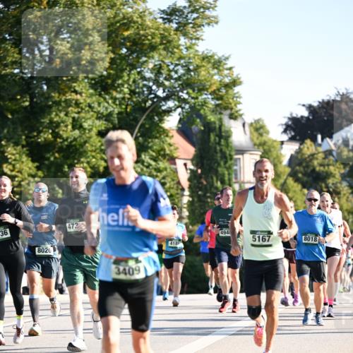 01.09.2024 - BARMER Alsterlauf Dr. Thomas Lammeyer http://msf.ph/oto/6895109 01.09.2024 09:32:12 Laufen 736, 8020, 473, 3409, 4940, 5167, 8018, 4189 meine-sportfotos.de
