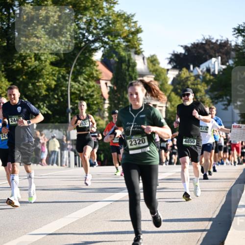 01.09.2024 - BARMER Alsterlauf Dr. Thomas Lammeyer http://msf.ph/oto/6895224 01.09.2024 09:32:28 Laufen 524, 2446, 2533, 10, 2320, 2320, 4850, 8336 meine-sportfotos.de