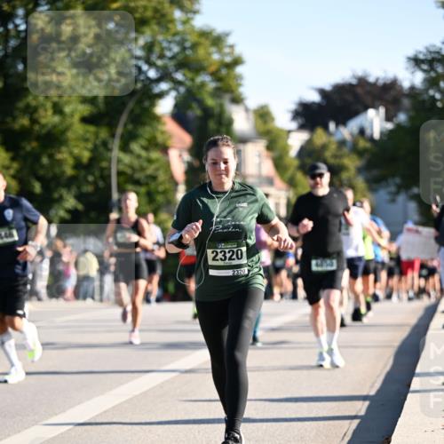 01.09.2024 - BARMER Alsterlauf Dr. Thomas Lammeyer http://msf.ph/oto/6895225 01.09.2024 09:32:29 Laufen 446, 2320, 2320 meine-sportfotos.de