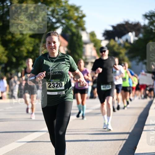 01.09.2024 - BARMER Alsterlauf Dr. Thomas Lammeyer http://msf.ph/oto/6895232 01.09.2024 09:32:29 Laufen 135, 2320, 2320 meine-sportfotos.de
