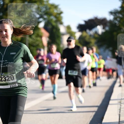 01.09.2024 - BARMER Alsterlauf Dr. Thomas Lammeyer http://msf.ph/oto/6895240 01.09.2024 09:32:30 Laufen 25, 135, 2320, 2320 meine-sportfotos.de