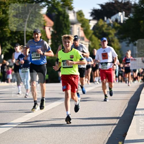 01.09.2024 - BARMER Alsterlauf Dr. Thomas Lammeyer http://msf.ph/oto/6895299 01.09.2024 09:32:36 Laufen 4190, 4190, 81, 3857 meine-sportfotos.de