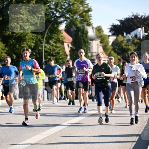 01.09.2024 - BARMER Alsterlauf Dr. Thomas Lammeyer http://msf.ph/oto/6895560 01.09.2024 09:33:05 Laufen 071, 4357, 346, 3561, 3464, 136, 012, 237, 829 meine-sportfotos.de