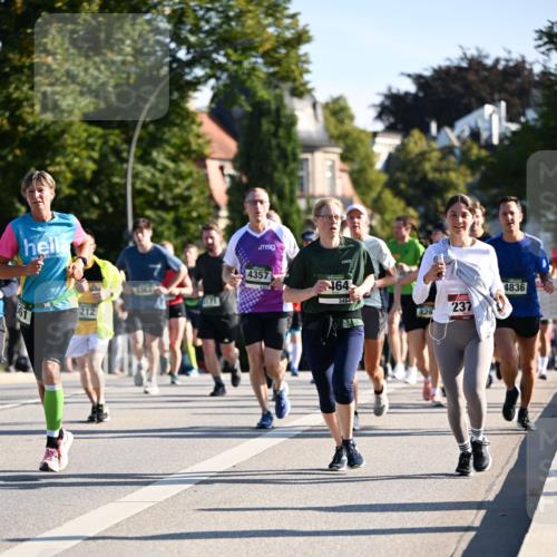 01.09.2024 - BARMER Alsterlauf Dr. Thomas Lammeyer http://msf.ph/oto/6895563 01.09.2024 09:33:05 Laufen 61, 212, 4357, 464, 4836, 3464, 829, 237 meine-sportfotos.de