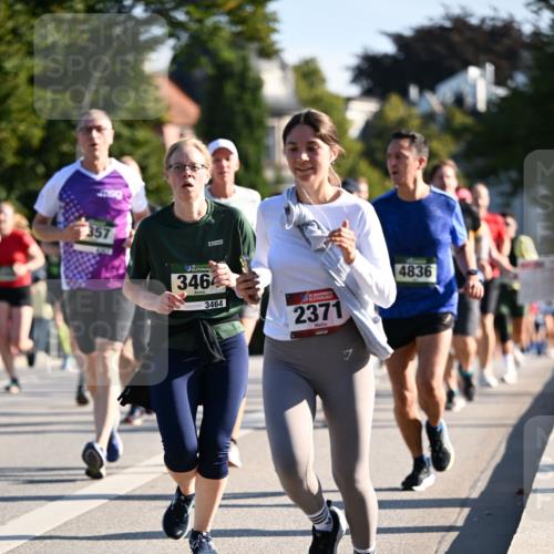 01.09.2024 - BARMER Alsterlauf Dr. Thomas Lammeyer http://msf.ph/oto/6895580 01.09.2024 09:33:07 Laufen 3464, 3464, 2371, 4836 meine-sportfotos.de