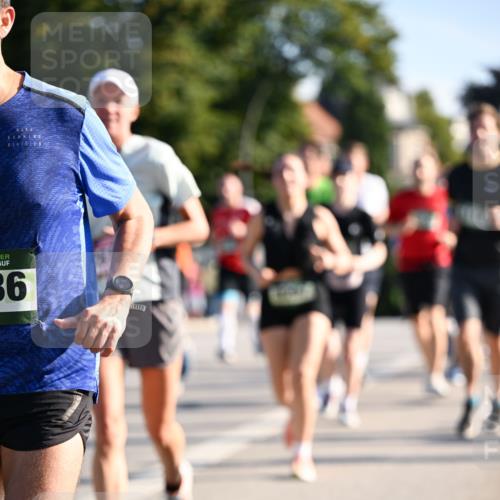 01.09.2024 - BARMER Alsterlauf Dr. Thomas Lammeyer http://msf.ph/oto/6895600 01.09.2024 09:33:10 Laufen 36 meine-sportfotos.de