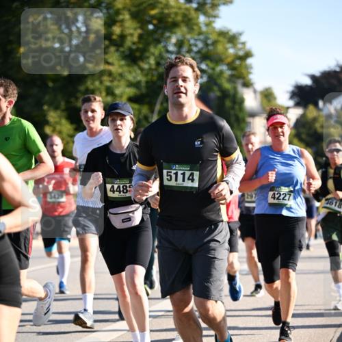 01.09.2024 - BARMER Alsterlauf Dr. Thomas Lammeyer http://msf.ph/oto/6895615 01.09.2024 09:33:12 Laufen 4489, 5114, 4500, 4227, 4618 meine-sportfotos.de