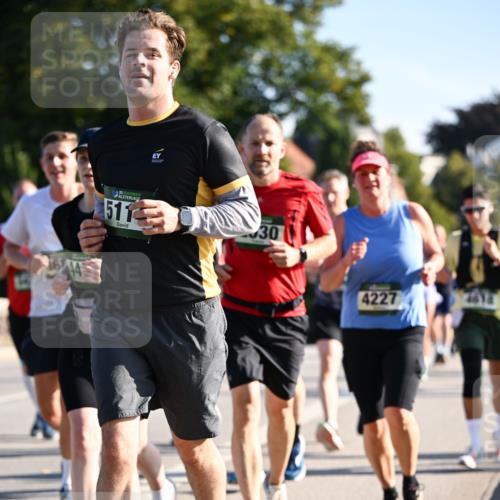 01.09.2024 - BARMER Alsterlauf Dr. Thomas Lammeyer http://msf.ph/oto/6895622 01.09.2024 09:33:12 Laufen 135, 5110, 30, 4227, 4618 meine-sportfotos.de
