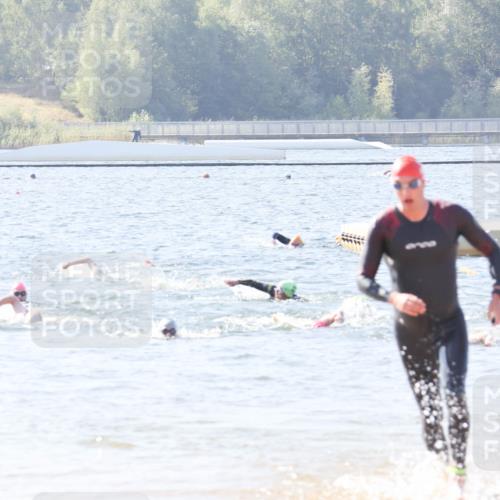 01.09.2024 - 17. Tribühne Triathlon Luisa Fischer http://msf.ph/oto/6895780 01.09.2024 11:18:10 Schwimmen 557 meine-sportfotos.de