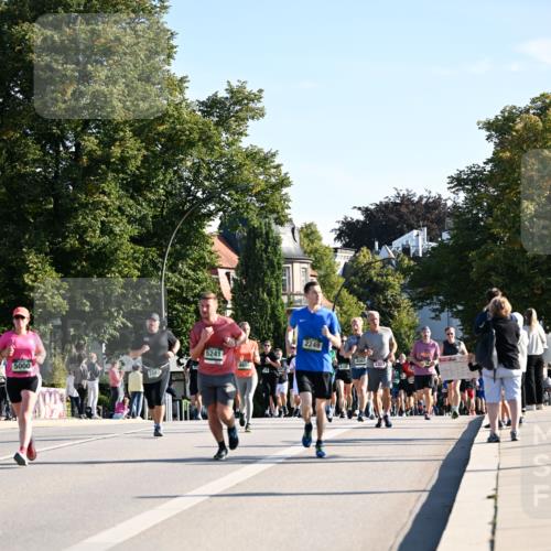 01.09.2024 - BARMER Alsterlauf Dr. Thomas Lammeyer http://msf.ph/oto/6895983 01.09.2024 09:33:50 Laufen 5000, 5241, 4656, 2249, 4563, 2323, 4128 meine-sportfotos.de