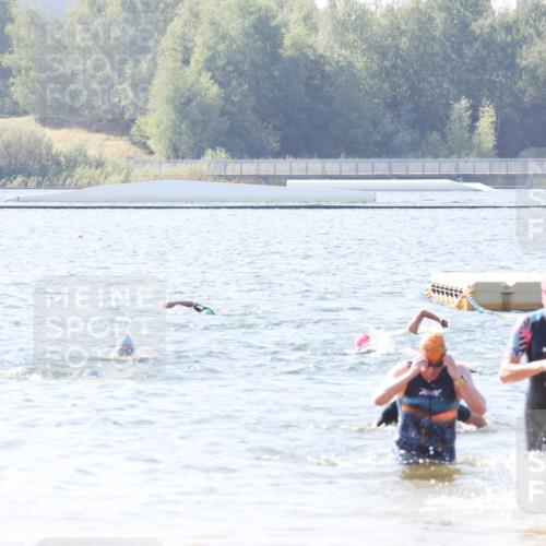 01.09.2024 - 17. Tribühne Triathlon Luisa Fischer http://msf.ph/oto/6895990 01.09.2024 11:19:35 Schwimmen 539 meine-sportfotos.de