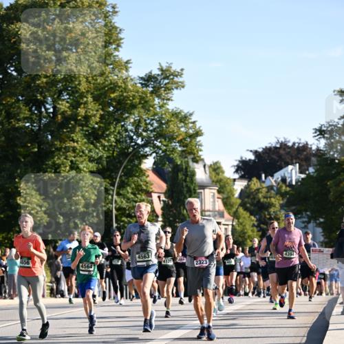 01.09.2024 - BARMER Alsterlauf Dr. Thomas Lammeyer http://msf.ph/oto/6896023 01.09.2024 09:33:54 Laufen 4656, 4563, 4175, 4564, 4128, 884, 2323, 469, 4394, 201 meine-sportfotos.de