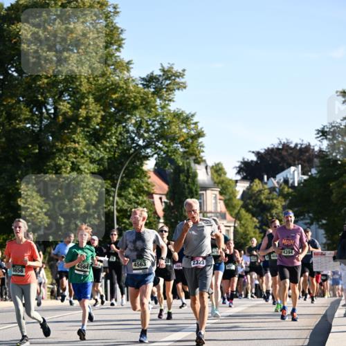 01.09.2024 - BARMER Alsterlauf Dr. Thomas Lammeyer http://msf.ph/oto/6896024 01.09.2024 09:33:54 Laufen 4564, 4656, 4563, 4563, 2323, 404, 469, 4394, 2011 meine-sportfotos.de