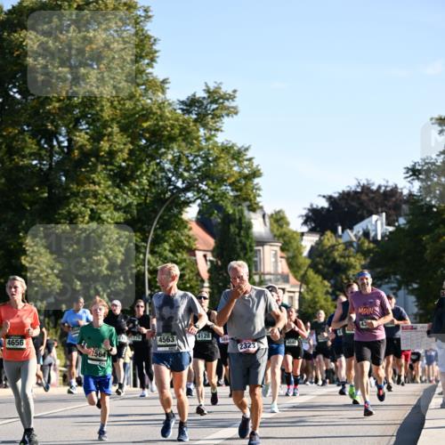 01.09.2024 - BARMER Alsterlauf Dr. Thomas Lammeyer http://msf.ph/oto/6896025 01.09.2024 09:33:54 Laufen 4656, 4563, 4128, 3884, 2323, 4045, 564 meine-sportfotos.de