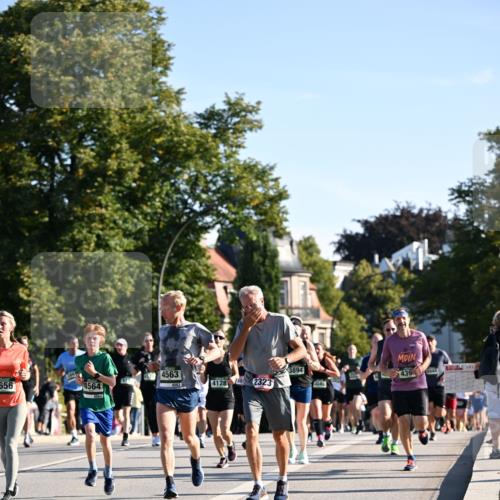 01.09.2024 - BARMER Alsterlauf Dr. Thomas Lammeyer http://msf.ph/oto/6896027 01.09.2024 09:33:55 Laufen 656, 4564, 4563, 3894, 2011, 4563, 4128, 2323, 439, 4045, 4041 meine-sportfotos.de