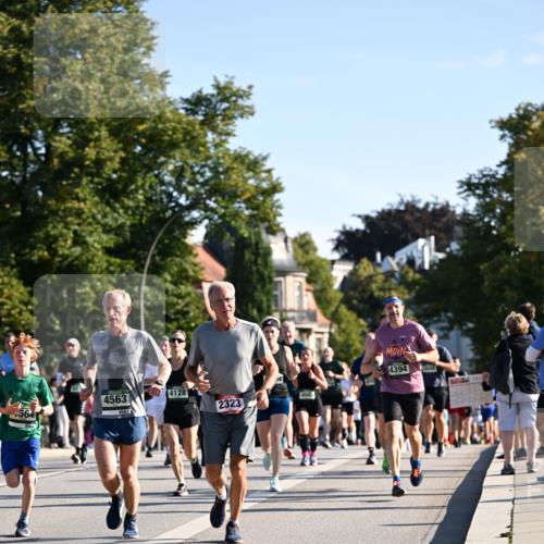 01.09.2024 - BARMER Alsterlauf Dr. Thomas Lammeyer http://msf.ph/oto/6896029 01.09.2024 09:33:55 Laufen 4128, 4563, 4046, 2323, 564, 4394, 2012 meine-sportfotos.de