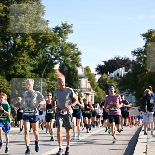 01.09.2024 - BARMER Alsterlauf Dr. Thomas Lammeyer http://msf.ph/oto/6896032 01.09.2024 09:33:55 Laufen 4564, 4563, 4563, 4128, 2323, 3894, 4394 meine-sportfotos.de