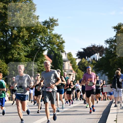 01.09.2024 - BARMER Alsterlauf Dr. Thomas Lammeyer http://msf.ph/oto/6896034 01.09.2024 09:33:55 Laufen 64, 564, 4563, 4563, 2323, 4394 meine-sportfotos.de