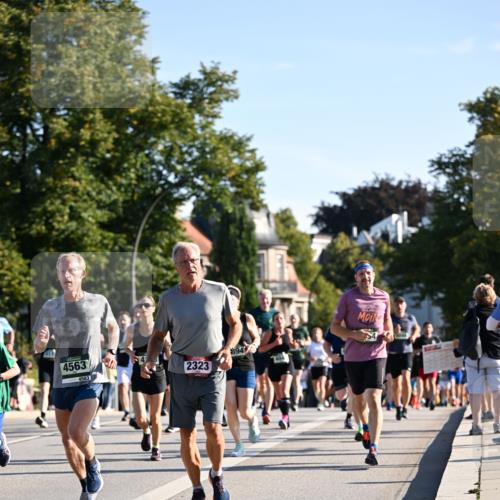 01.09.2024 - BARMER Alsterlauf Dr. Thomas Lammeyer http://msf.ph/oto/6896036 01.09.2024 09:33:56 Laufen 4563, 4563, 2323, 394 meine-sportfotos.de