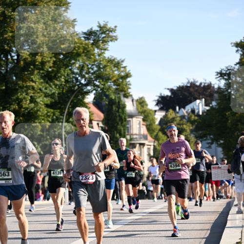 01.09.2024 - BARMER Alsterlauf Dr. Thomas Lammeyer http://msf.ph/oto/6896038 01.09.2024 09:33:56 Laufen 563, 4563, 4128, 4045, 2323, 4394, 2011 meine-sportfotos.de
