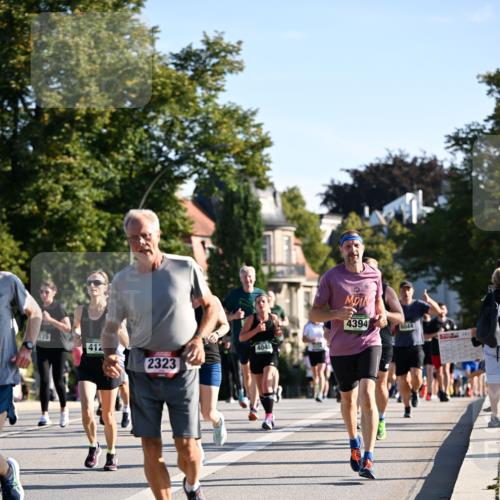 01.09.2024 - BARMER Alsterlauf Dr. Thomas Lammeyer http://msf.ph/oto/6896041 01.09.2024 09:33:56 Laufen 175, 412, 4045, 2323, 4394, 8044, 2017 meine-sportfotos.de