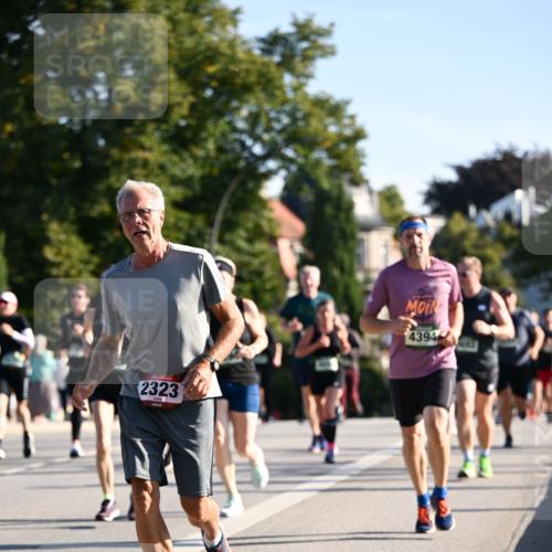 01.09.2024 - BARMER Alsterlauf Dr. Thomas Lammeyer http://msf.ph/oto/6896047 01.09.2024 09:33:57 Laufen 2323, 4394 meine-sportfotos.de