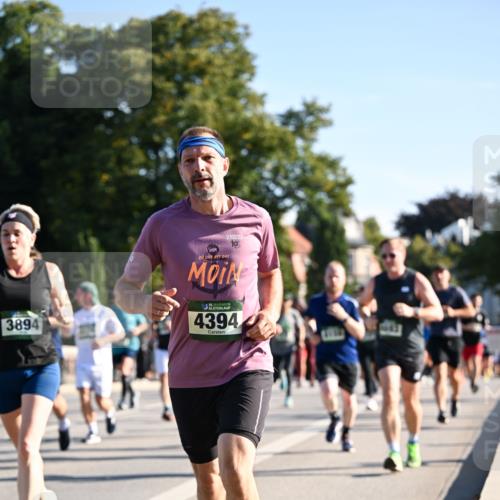 01.09.2024 - BARMER Alsterlauf Dr. Thomas Lammeyer http://msf.ph/oto/6896066 01.09.2024 09:33:59 Laufen 10, 3894, 35, 4394 meine-sportfotos.de