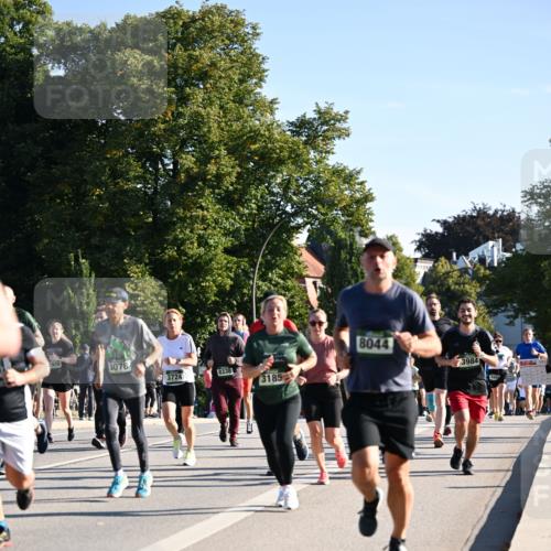 01.09.2024 - BARMER Alsterlauf Dr. Thomas Lammeyer http://msf.ph/oto/6896090 01.09.2024 09:34:02 Laufen 2920, 3078, 8338, 3724, 3185, 8044, 3984, 498 meine-sportfotos.de