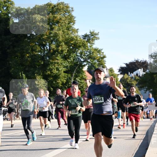 01.09.2024 - BARMER Alsterlauf Dr. Thomas Lammeyer http://msf.ph/oto/6896094 01.09.2024 09:34:02 Laufen 2920, 8338, 3078, 3724, 3185, 8044, 3603, 398 meine-sportfotos.de