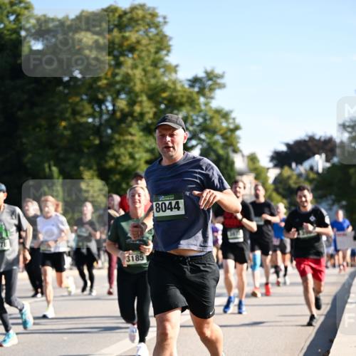 01.09.2024 - BARMER Alsterlauf Dr. Thomas Lammeyer http://msf.ph/oto/6896098 01.09.2024 09:34:03 Laufen 3185, 8044, 1, 1 meine-sportfotos.de
