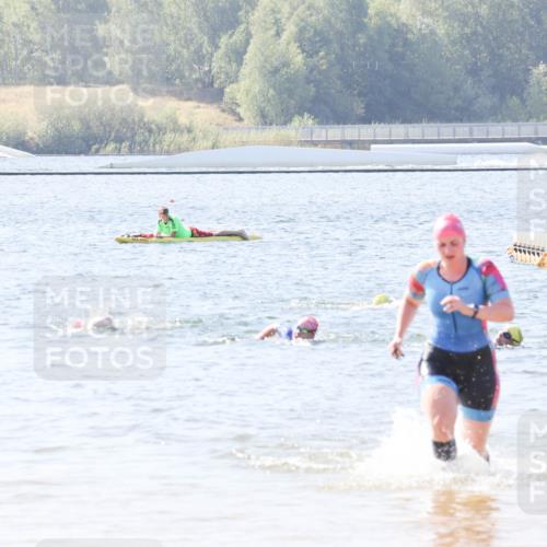01.09.2024 - 17. Tribühne Triathlon Luisa Fischer http://msf.ph/oto/6896156 01.09.2024 11:20:37 Schwimmen 461, 499 meine-sportfotos.de
