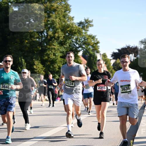 01.09.2024 - BARMER Alsterlauf Dr. Thomas Lammeyer http://msf.ph/oto/6896204 01.09.2024 09:34:15 Laufen 3646, 3334, 3334, 221, 2315, 3636, 3636 meine-sportfotos.de