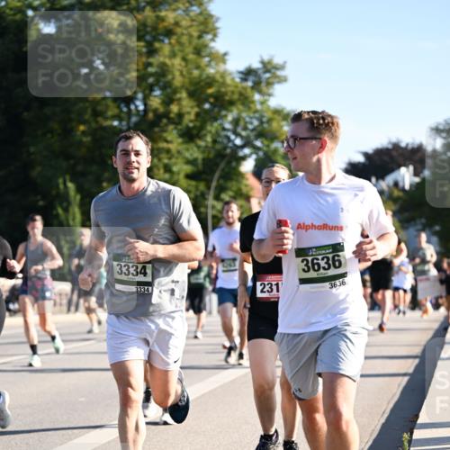 01.09.2024 - BARMER Alsterlauf Dr. Thomas Lammeyer http://msf.ph/oto/6896214 01.09.2024 09:34:15 Laufen 3334, 3334, 1244, 231, 3636, 3636 meine-sportfotos.de